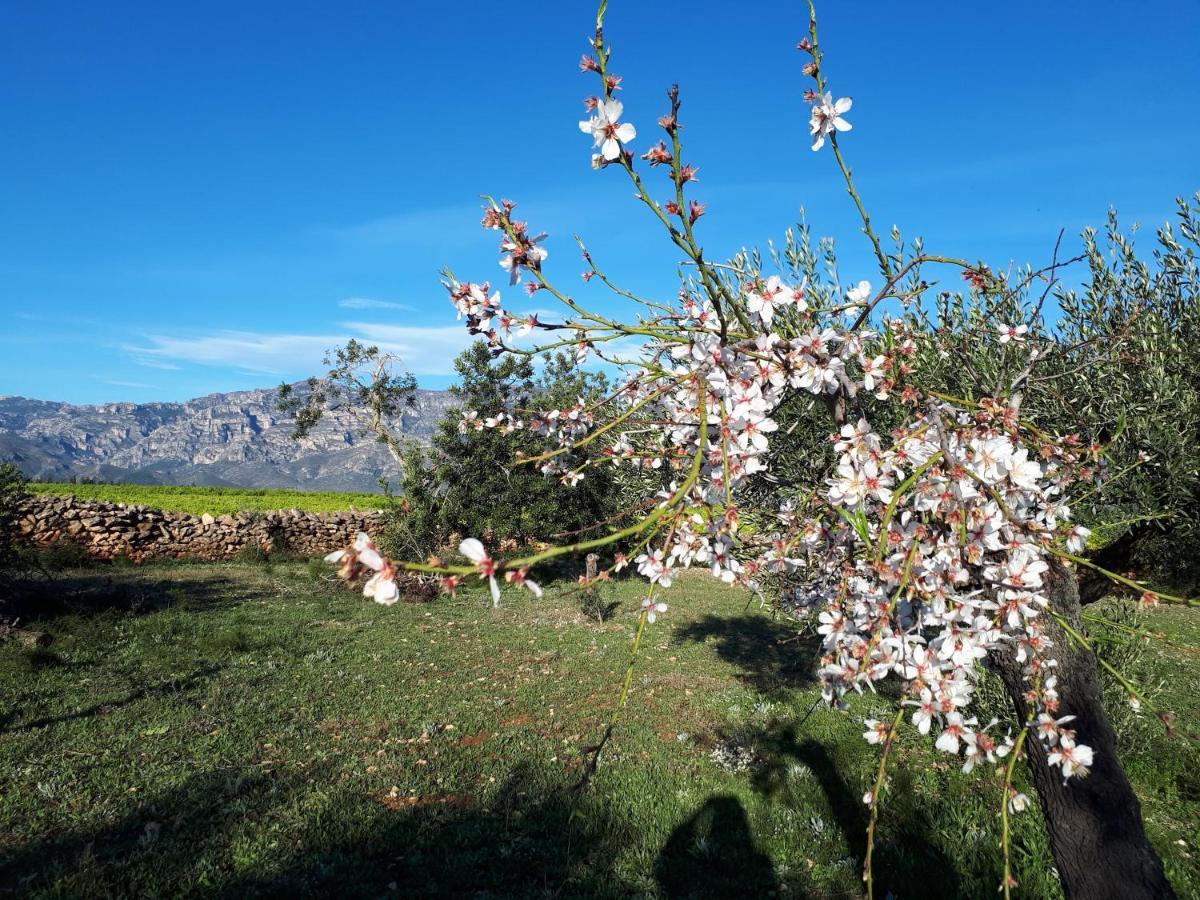 Casa De Bello Tortosa Eksteriør bilde